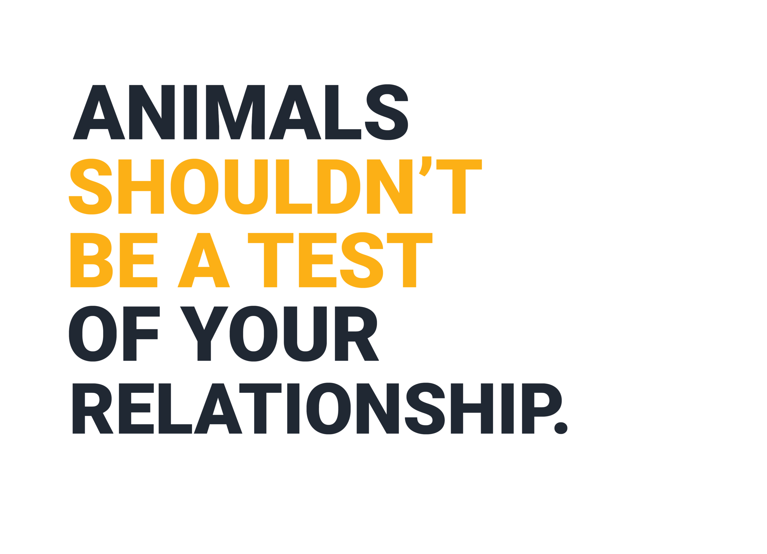 Johannesburg SPCA Integrated Campaign for 