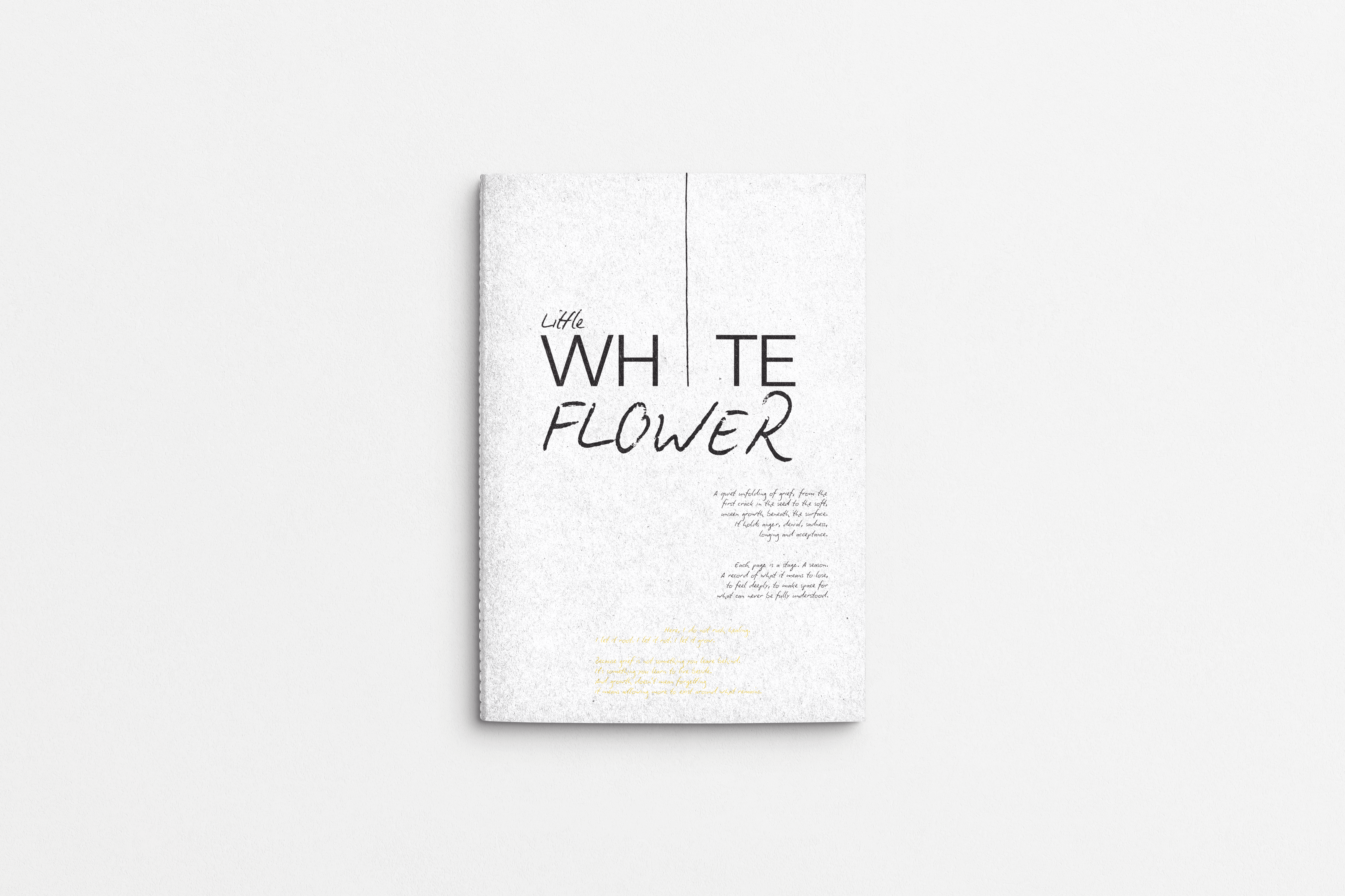 Editorial Typography project